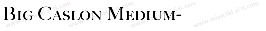 Big Caslon Medium字体转换